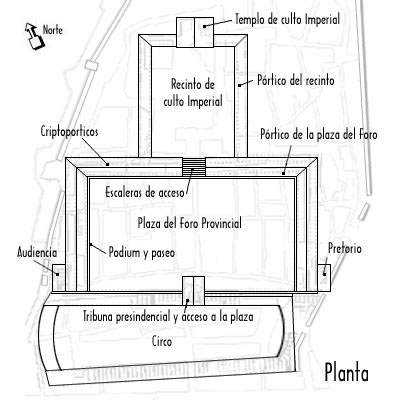 Resultado de imagen de forum de la provincia tarraco planta